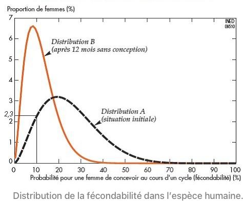 TABLEAU GROSSESSE